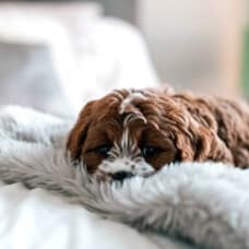 HomePage Section2 BG img 2 120720