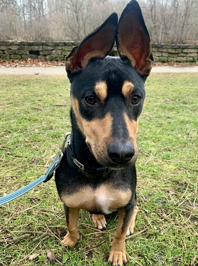 Reggie scaled e1659644854716