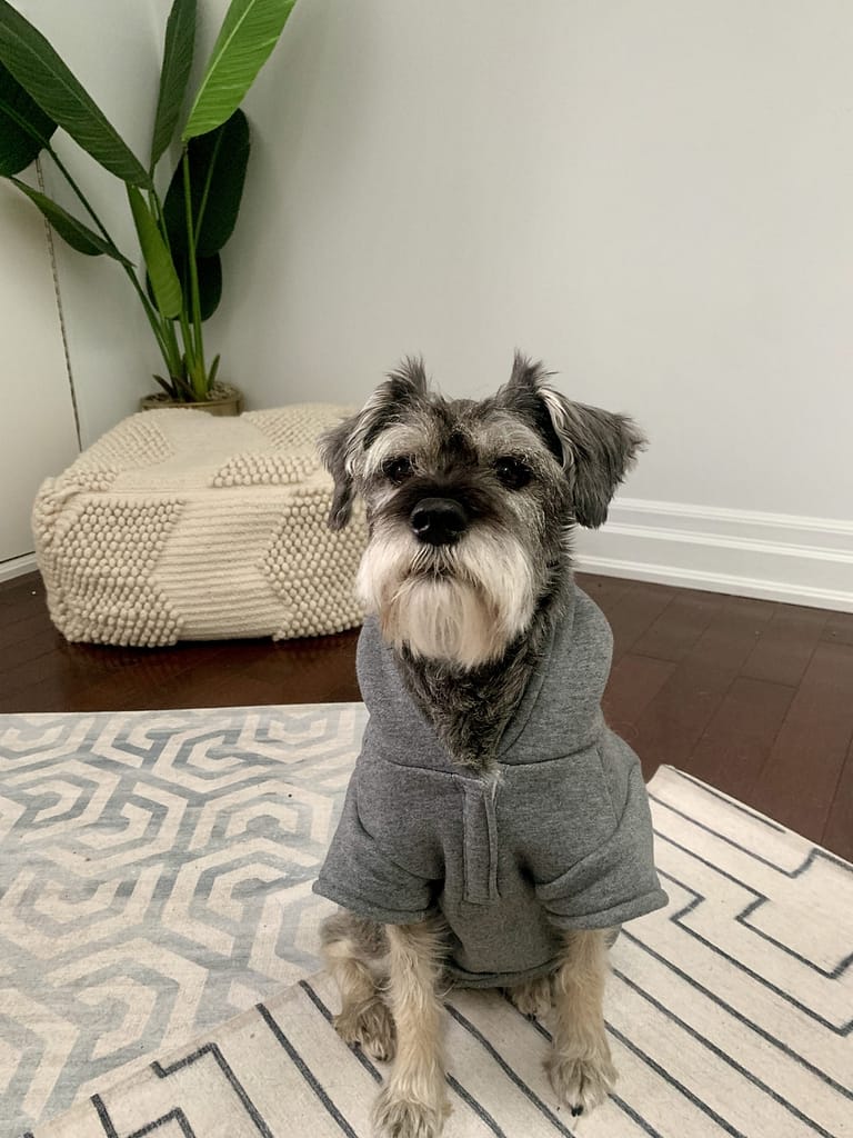 C8A511F7 99DA 4A9F A8EC 0DF5732076F6 1 201 a scaled