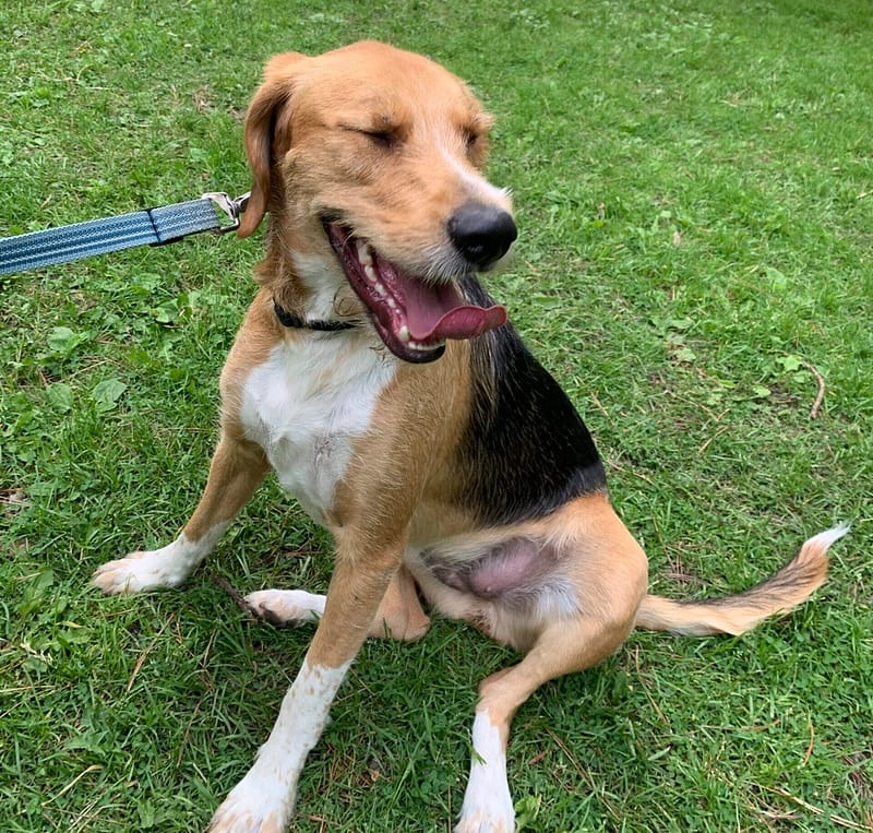 805CABA5 9C72 4F79 A313 EEFE40680032 scaled e1662172491667