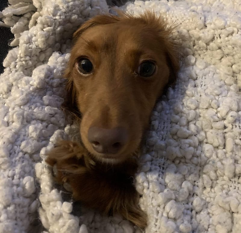 6B752AF7 5497 4680 96B2 BBFD25AEB3AC scaled e1659648994733