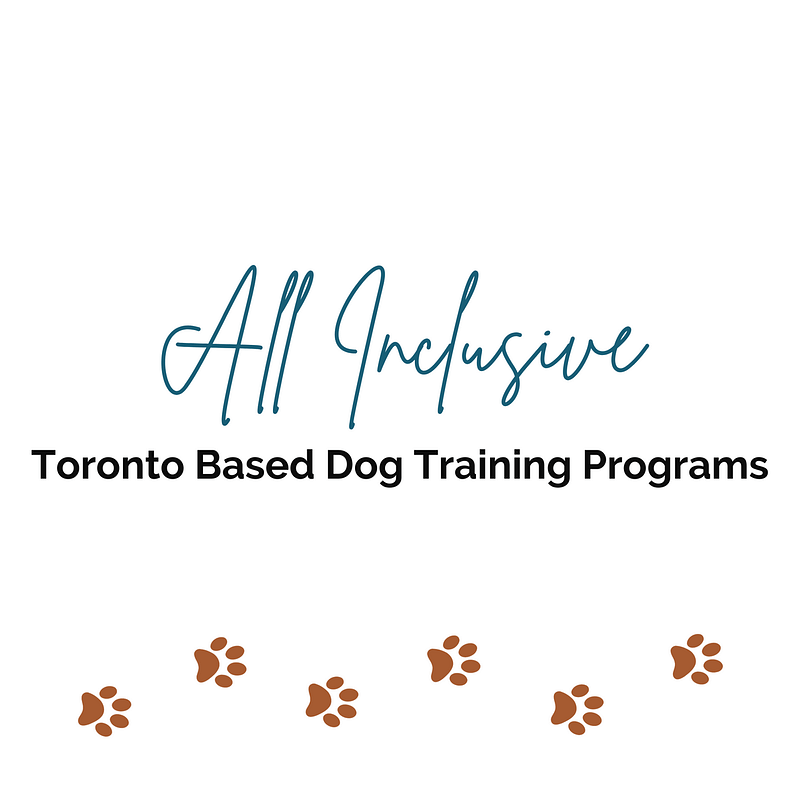 Toronto dog training