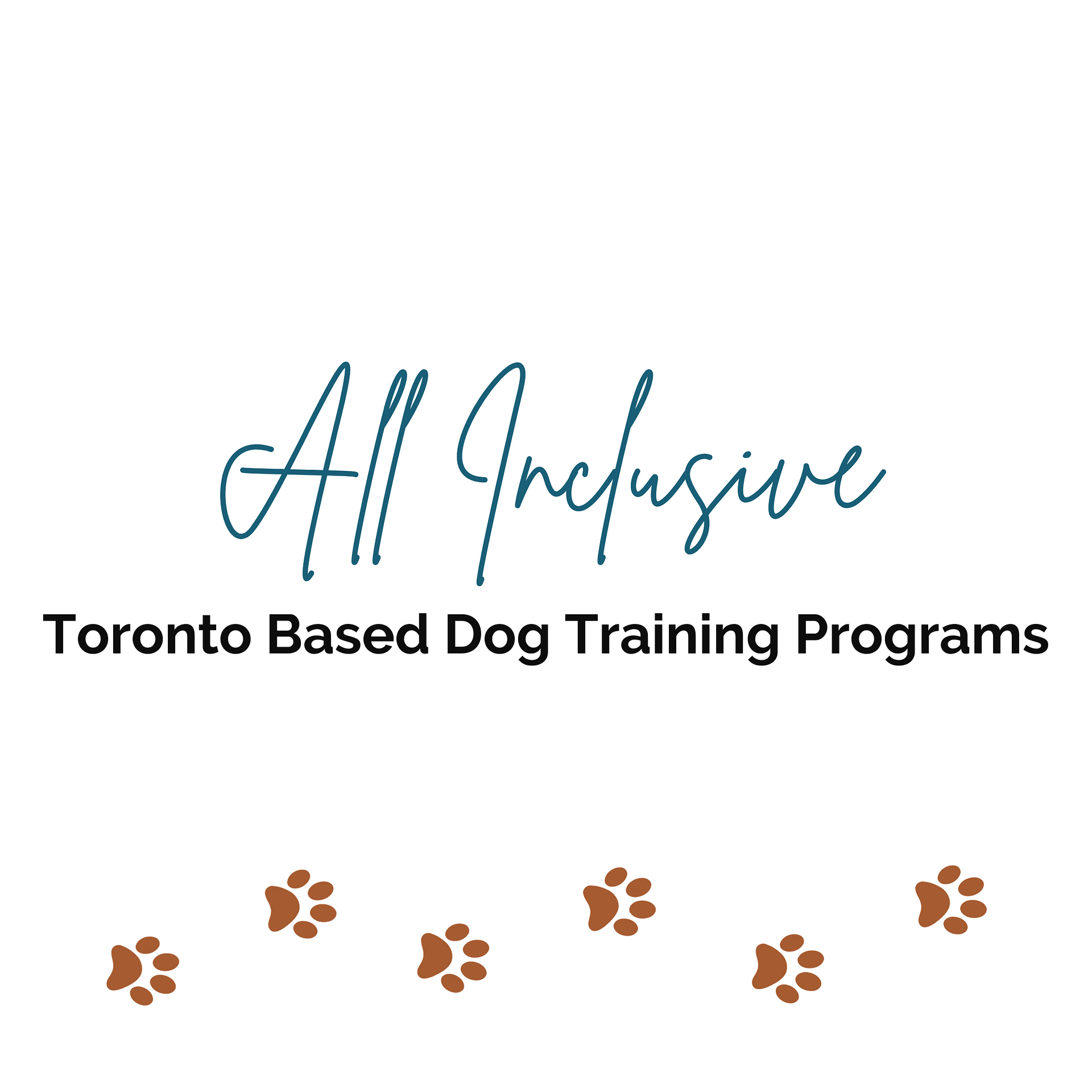 Dog best sale training programs